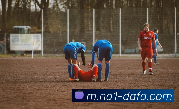 大发彩票服务体系